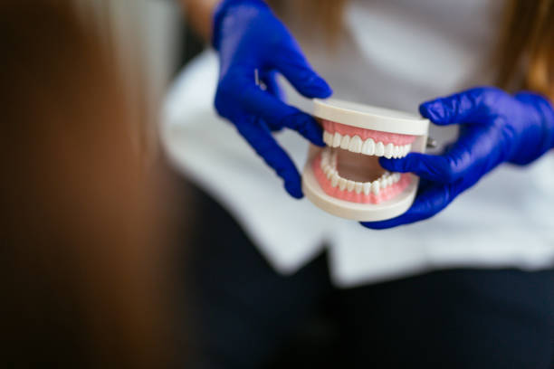 Best Laser Dentistry  in Altamonte Springs, FL